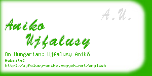 aniko ujfalusy business card
